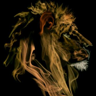 TheLionReigns's profile banner image