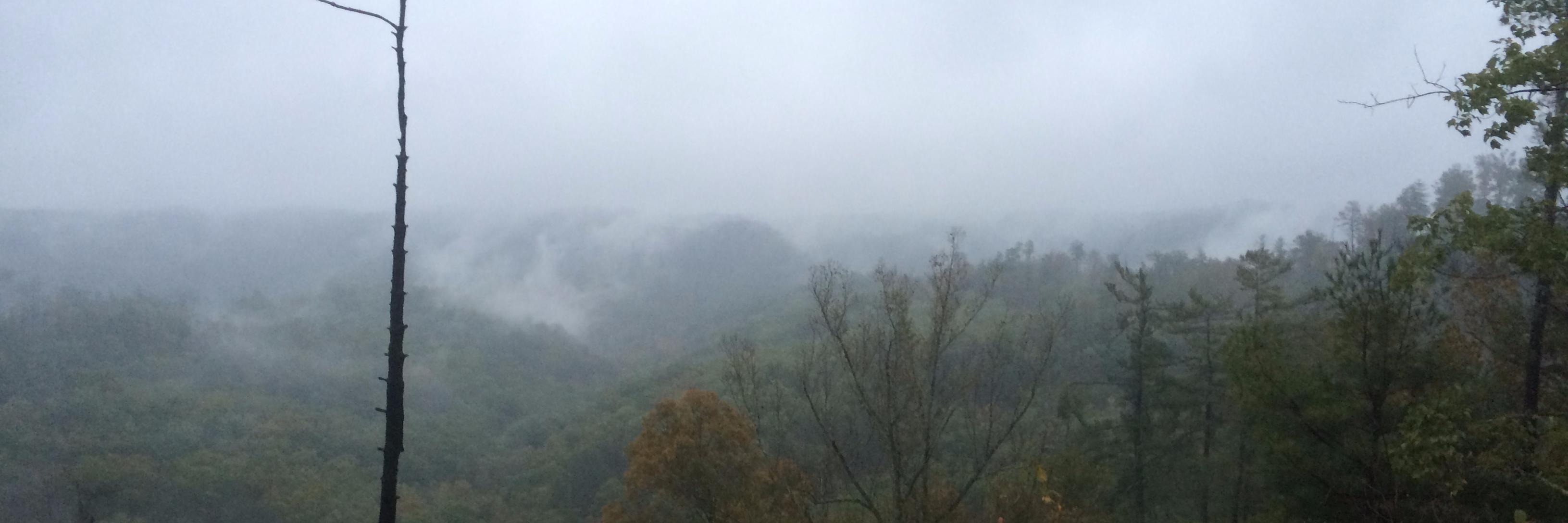 Next Opportunity banner