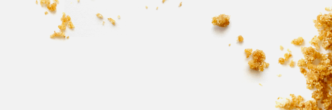 noisebiscuits's profile banner image