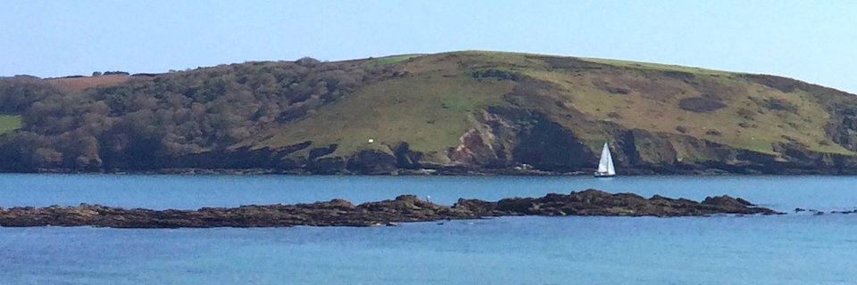 SWDevonConservatives banner