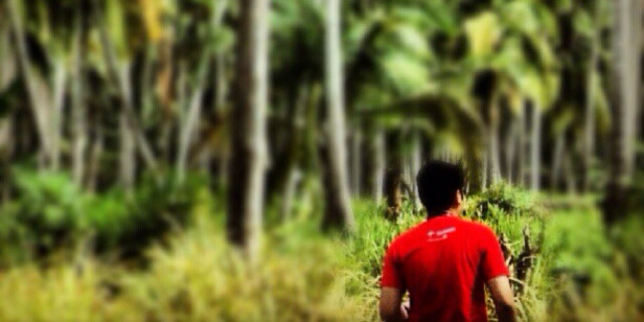 red_arie's profile banner image