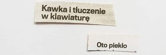 ggrazynka's profile banner image