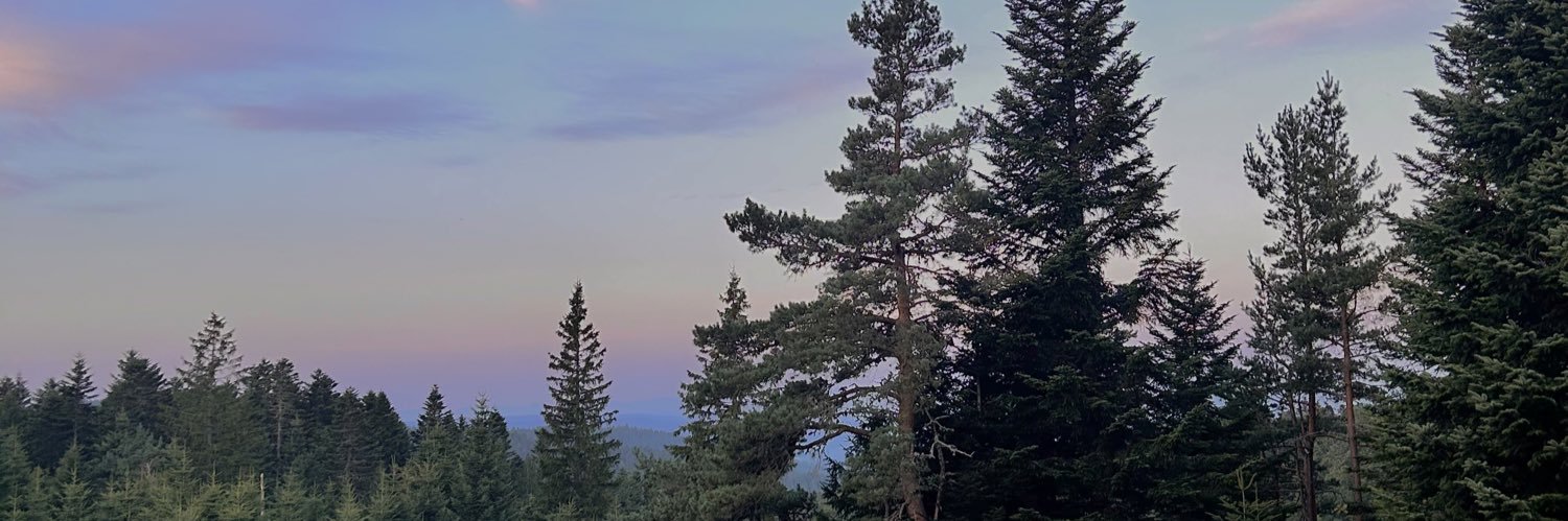 ateyaad's profile banner image