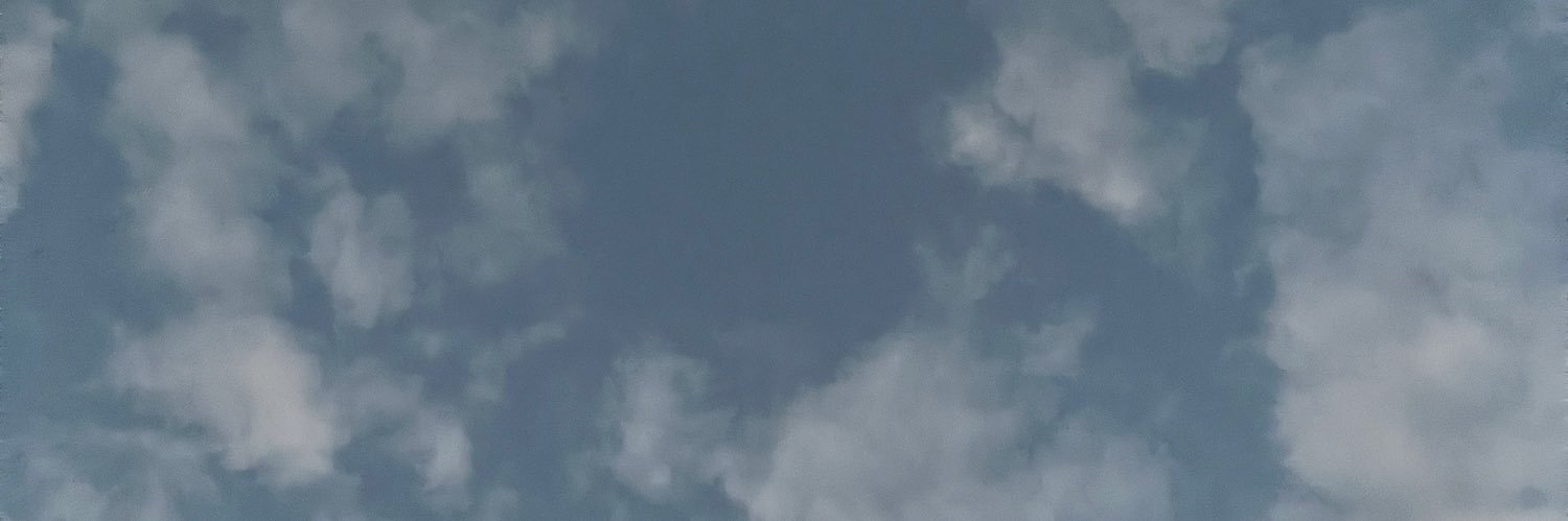 diannajramirez's profile banner image