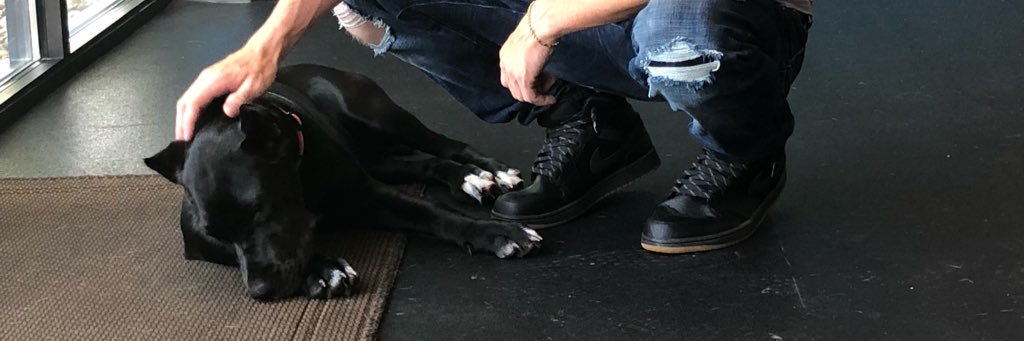 XRP Austin 🏴‍☠️ banner