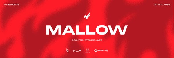 mallowcs Profile Banner