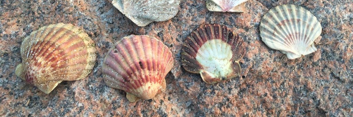 orinoco_bin's profile banner image
