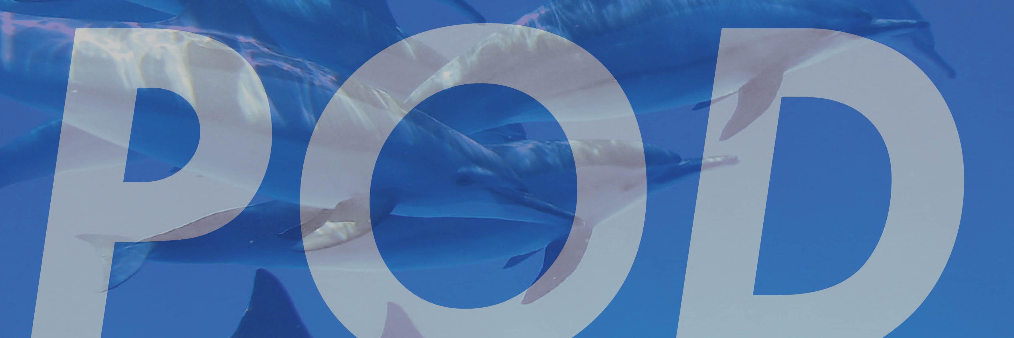 MiamiPod's profile banner image