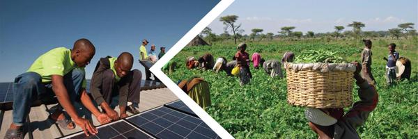 switchafrica Profile Banner