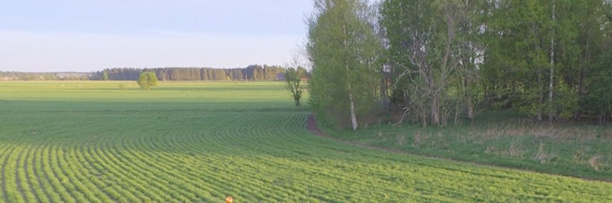 Lyckegard's profile banner image