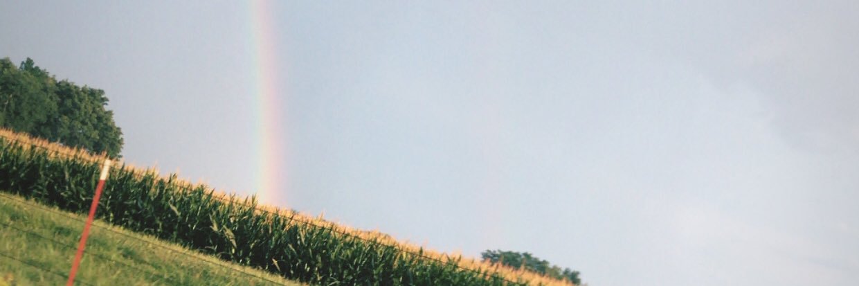 haarrleyy's profile banner image