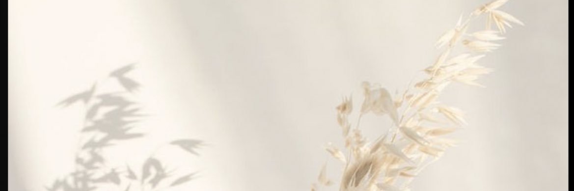 LucieDchnt's profile banner image