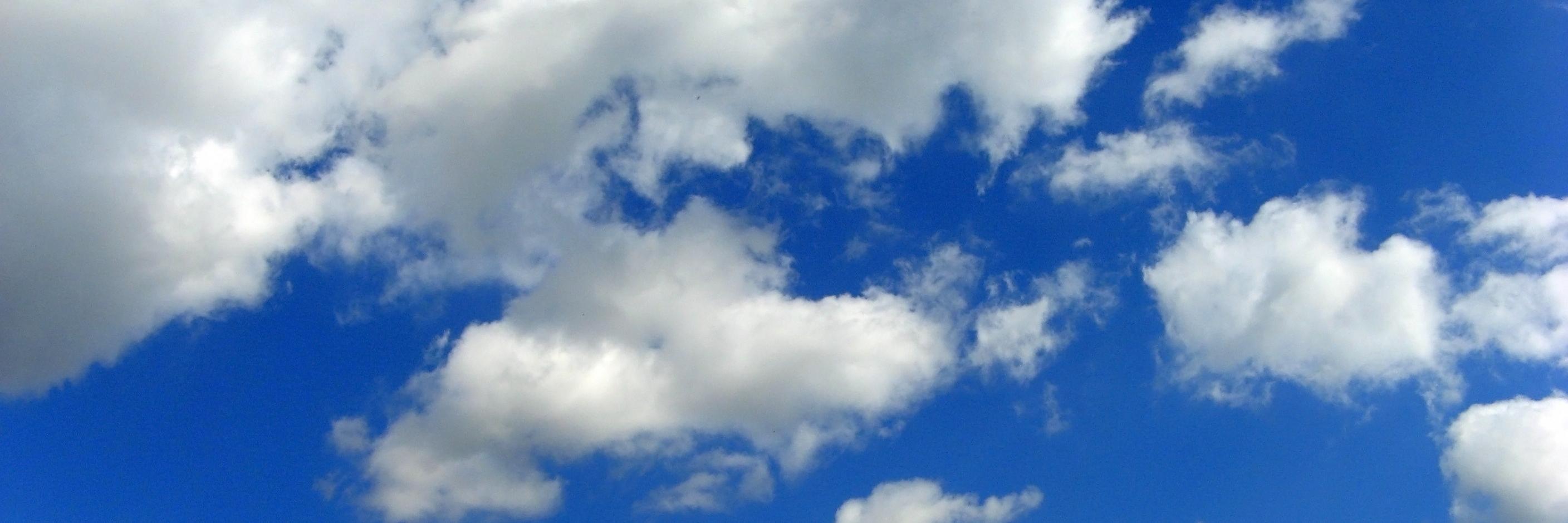 ARPMEFyCU banner