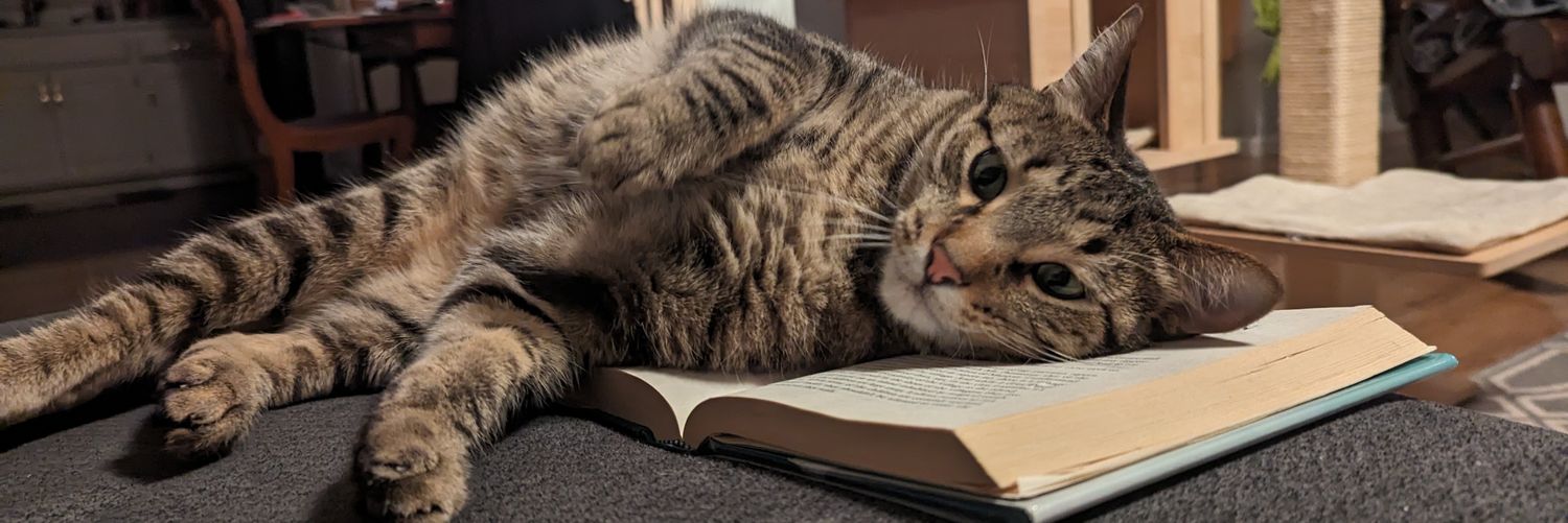 Catmitt98's profile banner image