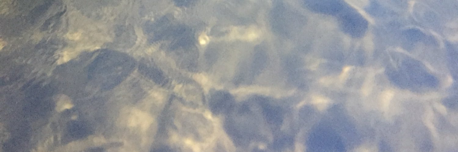 _ellen_o's profile banner image