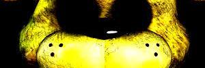 turtle_albin's profile banner image