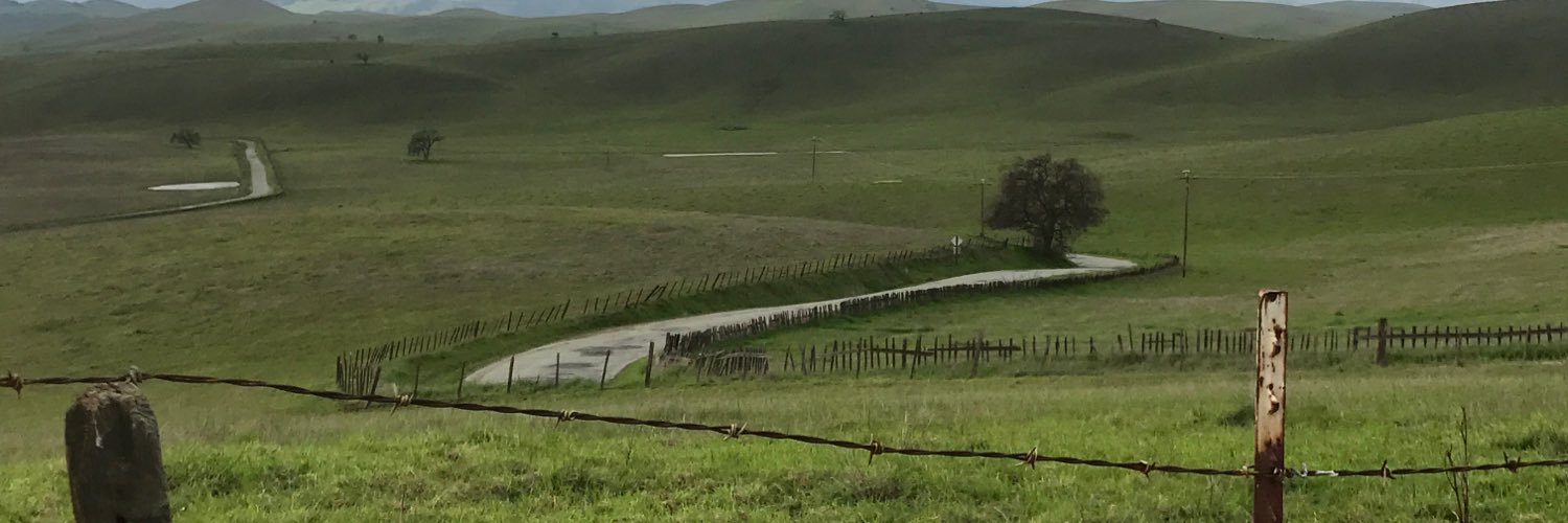 Mary Breen banner