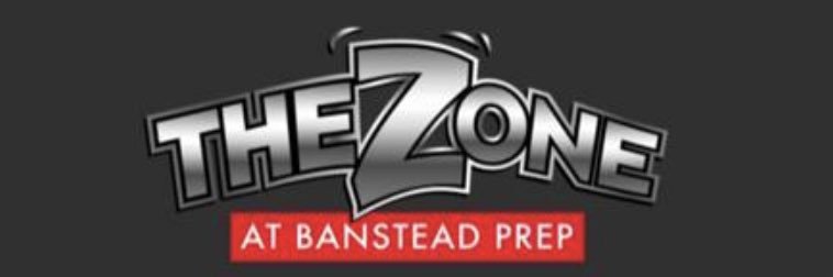 The Zone banner
