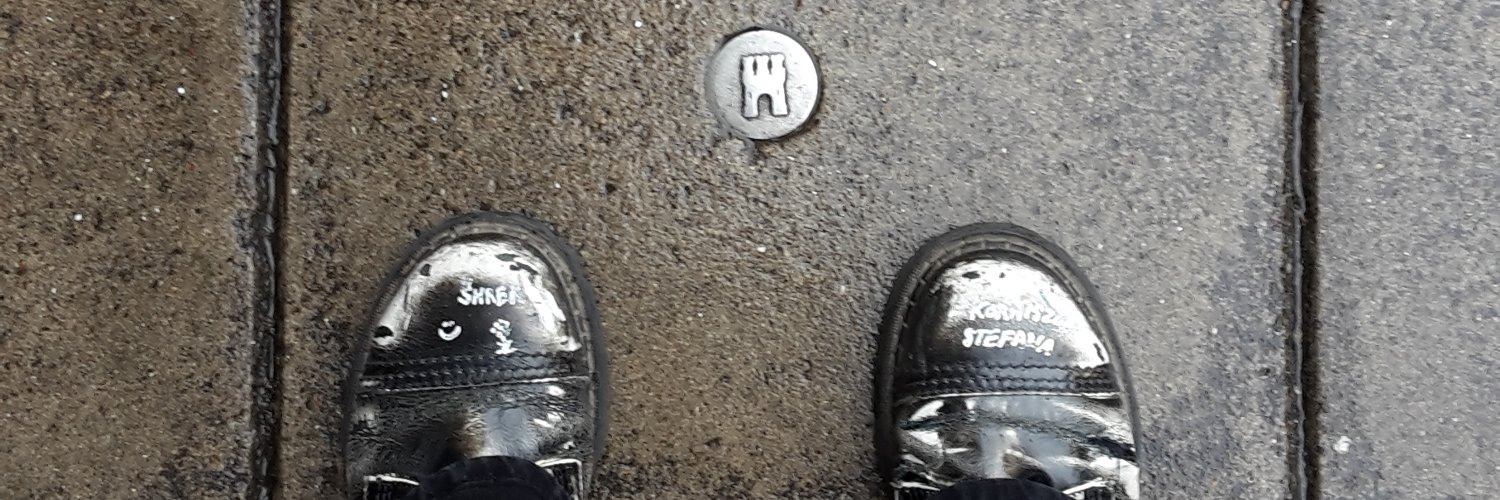 Dorota Badowska banner