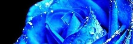 keitatu4's profile banner image