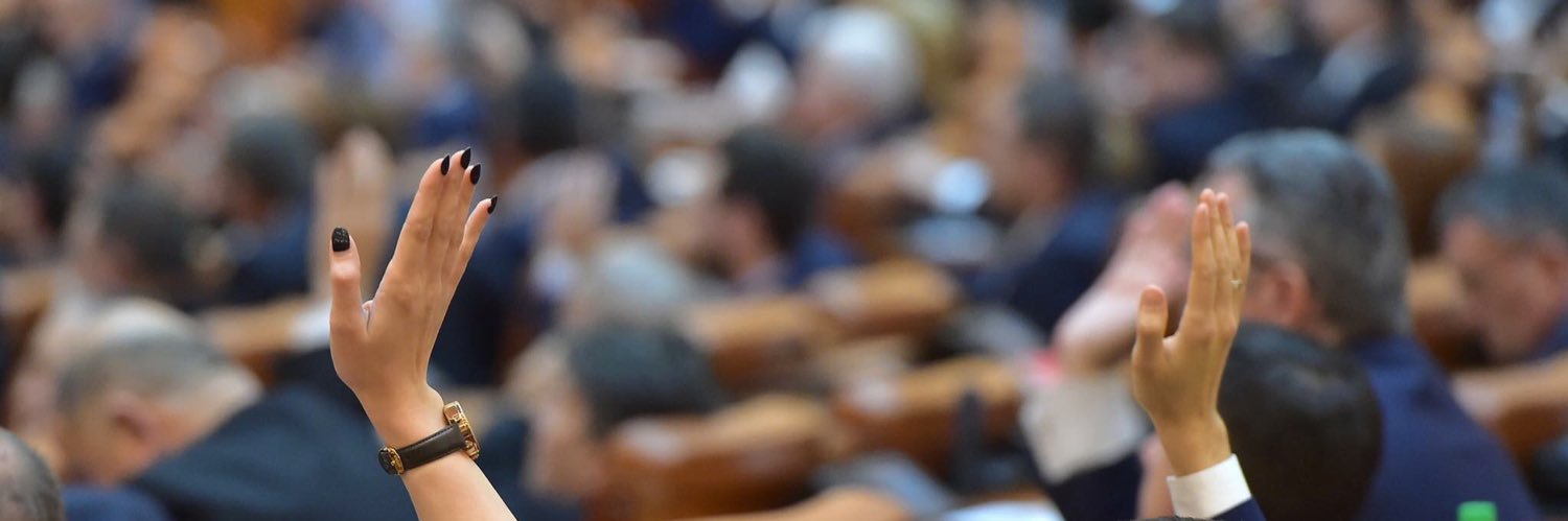 🇷🇴 Pavel Popescu banner