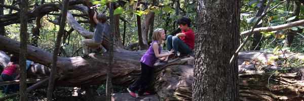 ceproject_clt Profile Banner