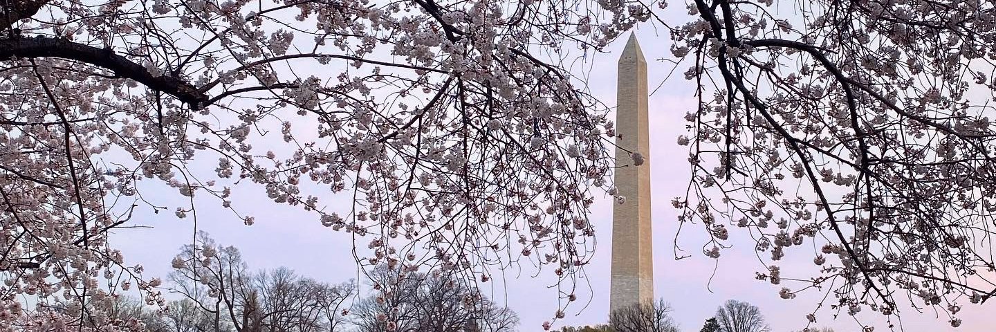 Kate Generelli banner