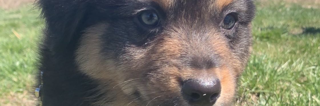 gabslinder's profile banner image