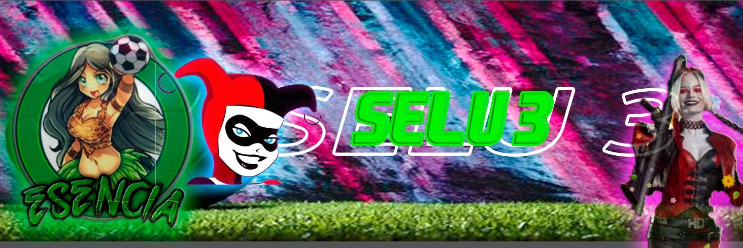 Selu3_13's profile banner image