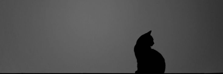 𝗝𝗼𝘀𝗵 banner