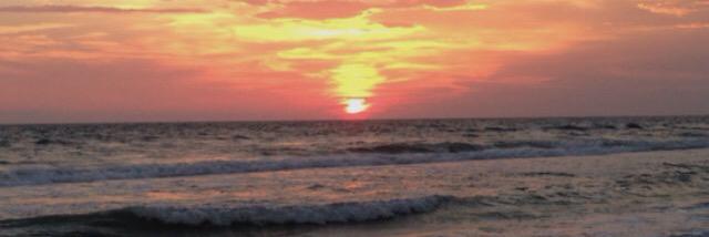 Ms_Reiman's profile banner image