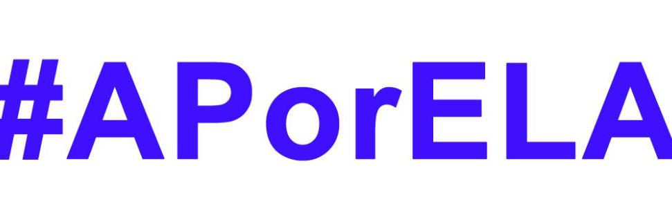 verticalELA's profile banner image