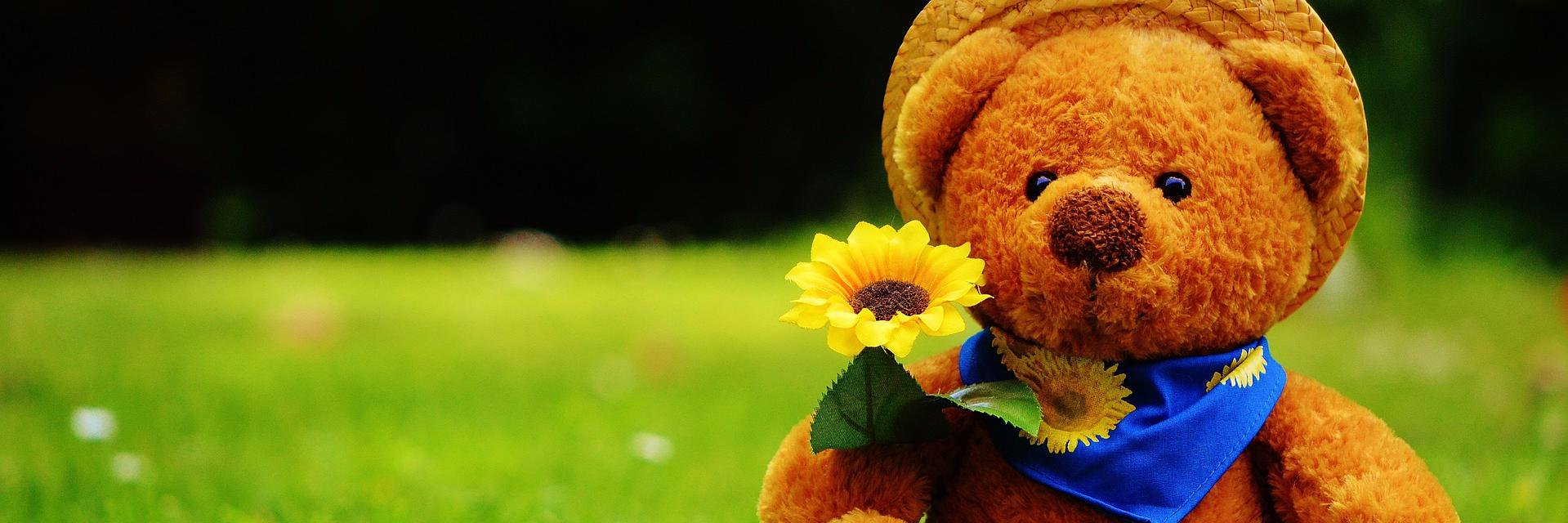 baby_sharing's profile banner image