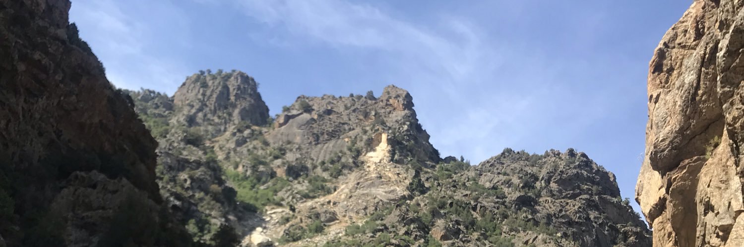 SalomeDonsimoni's profile banner image