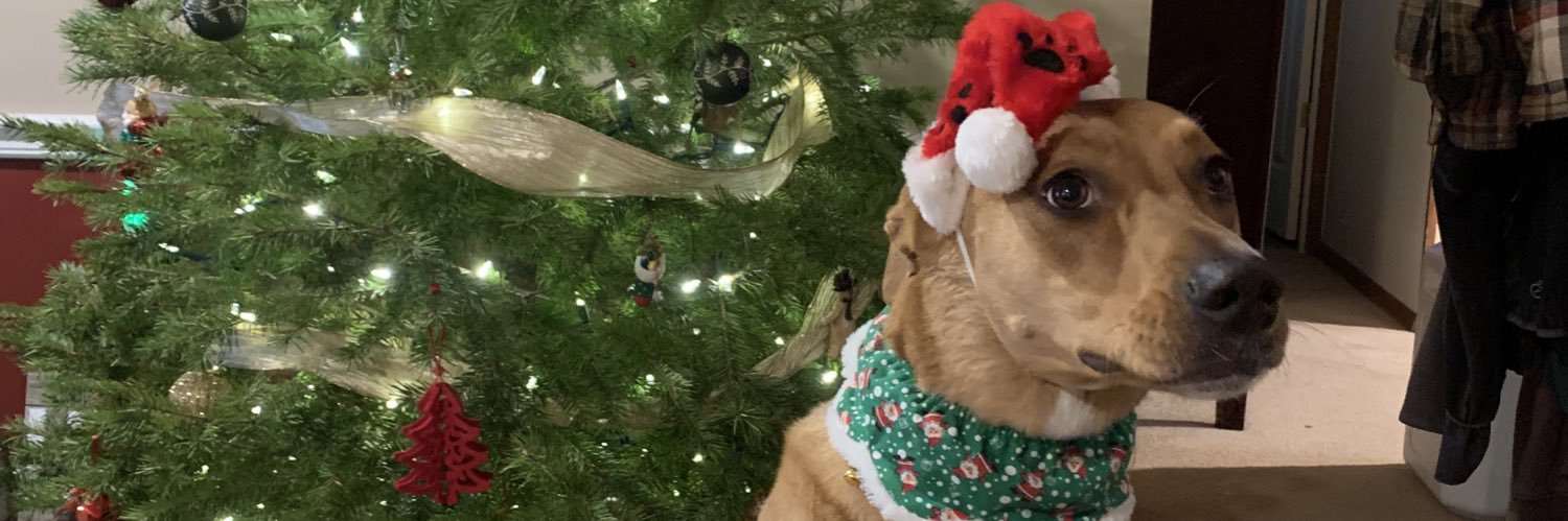 kbert113's profile banner image