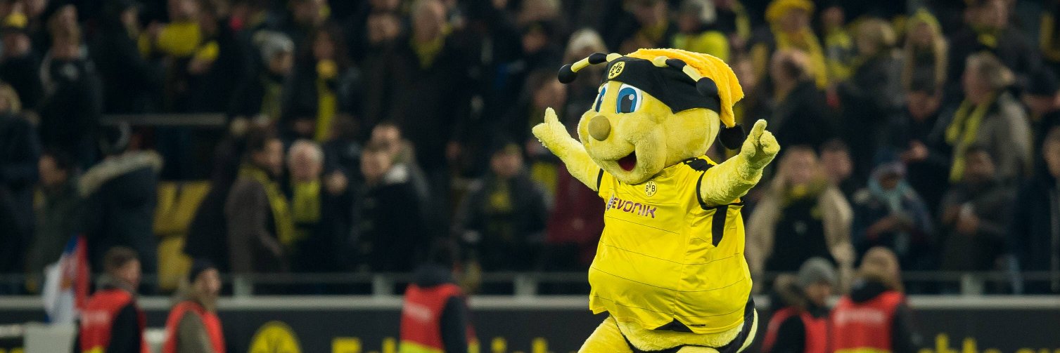 Heja BVB !!! banner