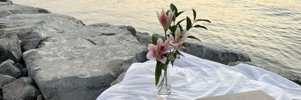 llxmi__'s profile banner image
