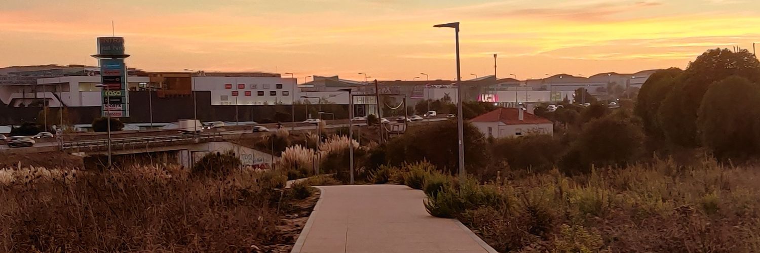 diogormusic's profile banner image