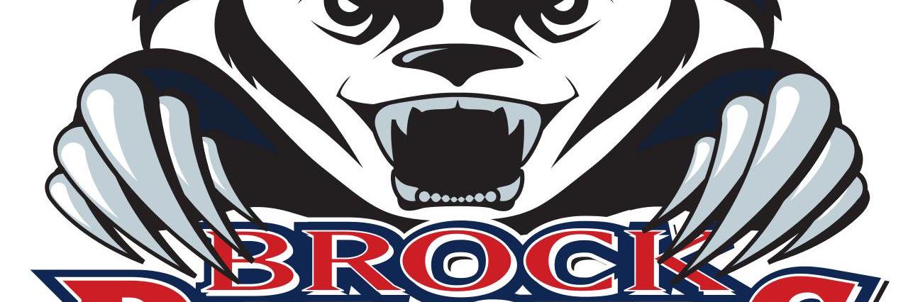 badgersringette's profile banner image