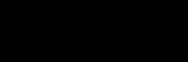 t_donkeys Profile Banner