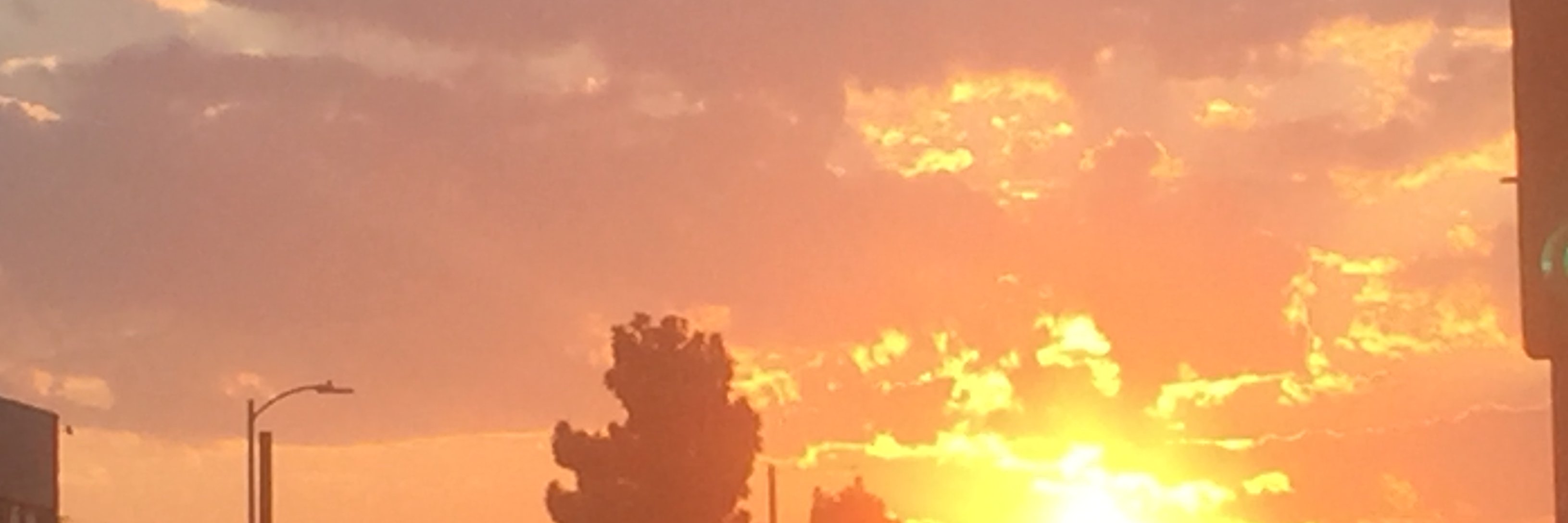 nebulawriter's profile banner image