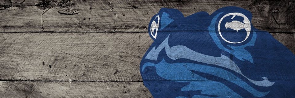 Blue Toad Hard Cider banner