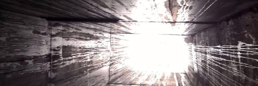 tristan_bernert's profile banner image