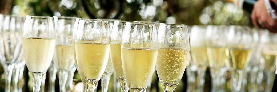 Topnotch_Events's profile banner image