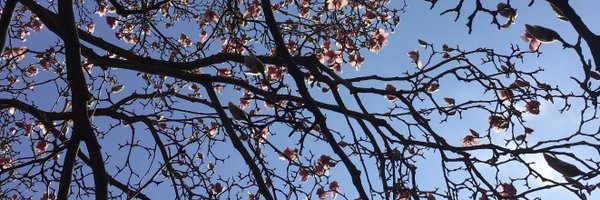 SharmiCo Profile Banner