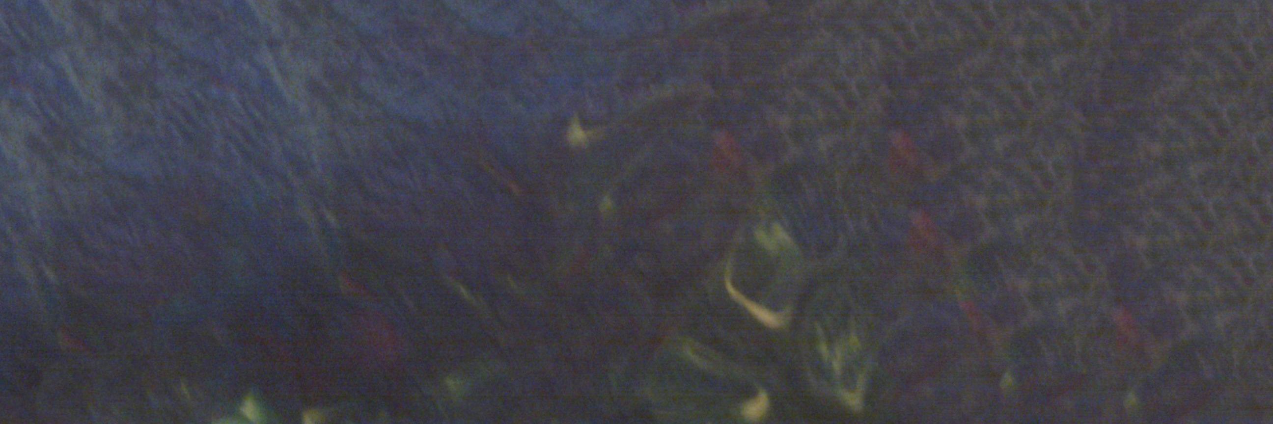 AlmostRtBot's profile banner image