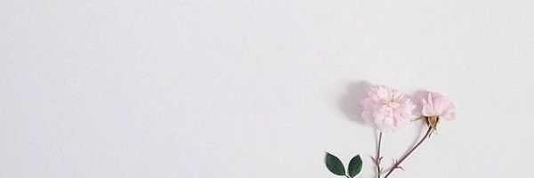 southsidefr's profile banner image