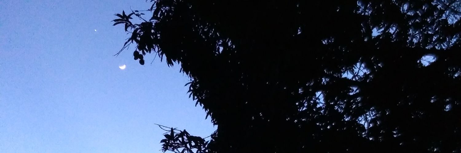 jleon_15's profile banner image