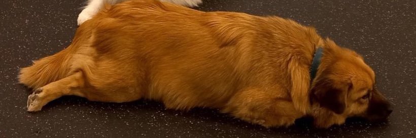 wlstjdghk's profile banner image