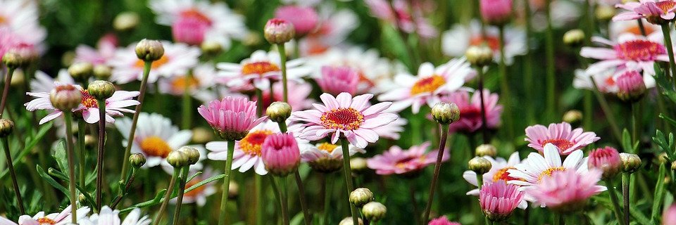 Louise__M_'s profile banner image